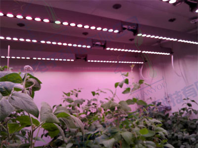 九游在线官网j9