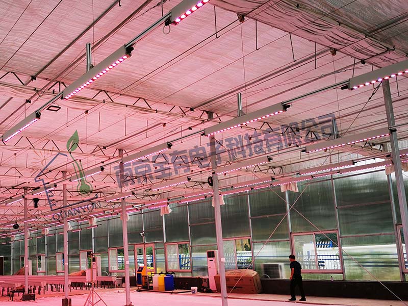 江苏省农业科学研究院现代温室