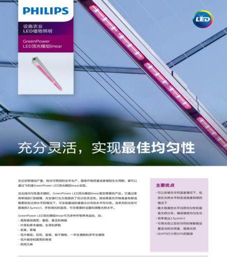 Green Power LED顶光模组