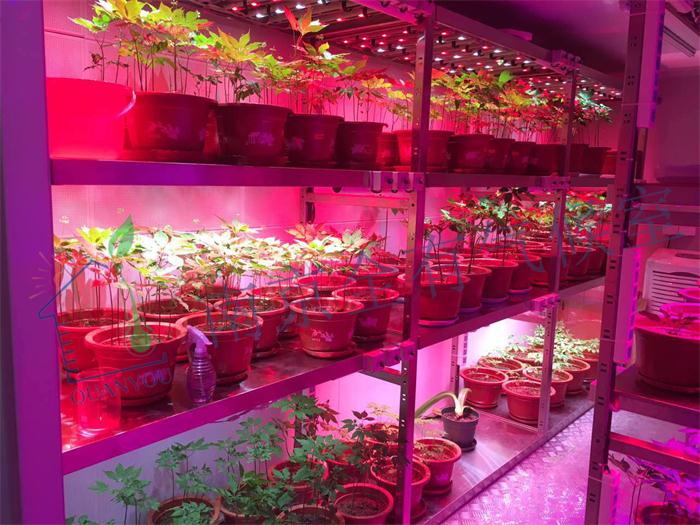 中国农业科学院特产研究所气候室应用进展顺利